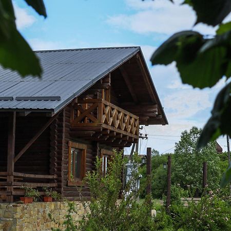 Сottage "Ksenija" Котедж "Ксенія" Skole Buitenkant foto